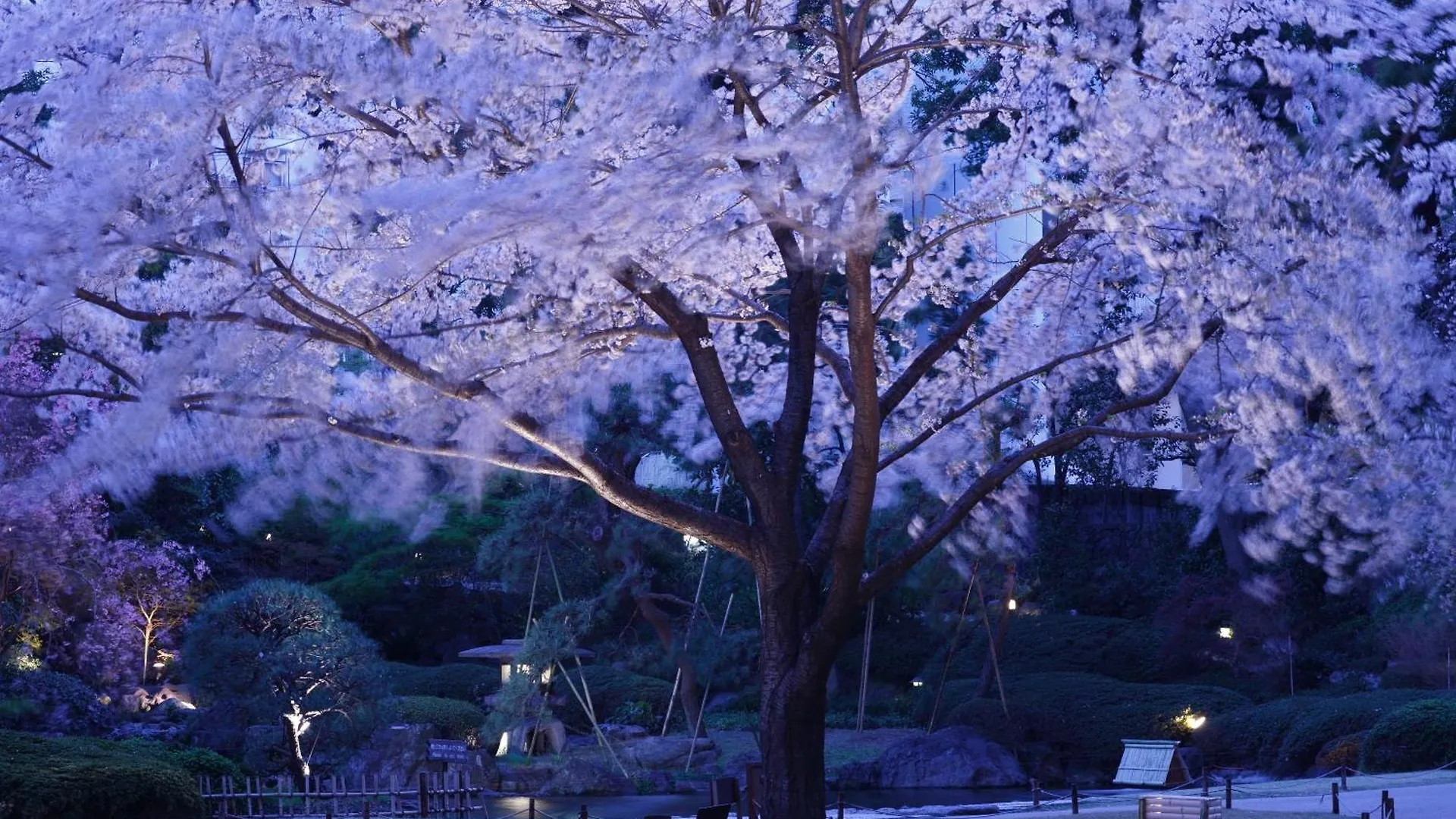 Отель The Prince Sakura Tower Tokyo, Autograph Collection  Токио